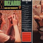 Sex Bizarre 17 (1977) PDF