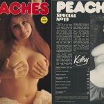 Peaches Special 19 (1978) PDF