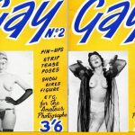 Gay 2 (1970s) PDF