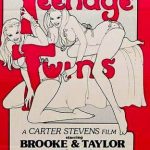 Teenage Twins (1976) DVDRip