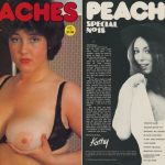 Peaches Special 18 (1978) PDF