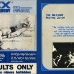 Sex Quest & Query 9 (1973) JPG