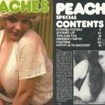 Peaches Special 32 (1981) PDF