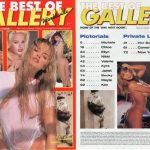 The Best of Gallery (1998) PDF