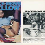 Black Brown Yellow 1 (1977) PDF