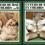 Intercourse in Colors 6 (1980s) PDF