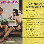 The Skin Teasers (1973) PDF