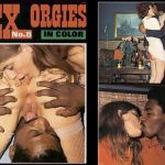 Sex Orgies in Color 8 (1970s) PDF