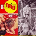Sex Trio (1970s) PDF